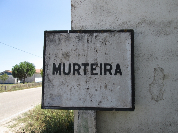 Murteira